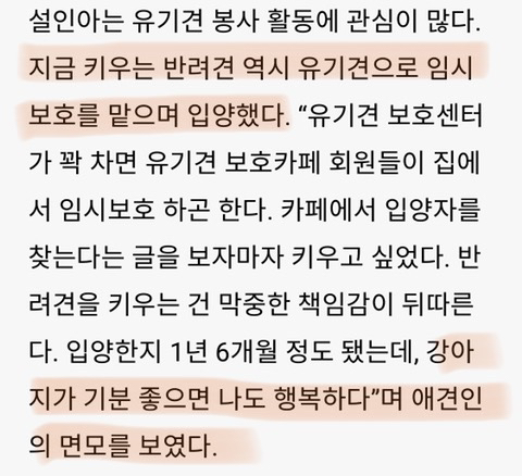 꾸준히 유기견 돕는 배우 | 인스티즈