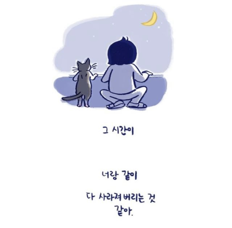 반려동물을 떠나보낸다는 것 | 인스티즈