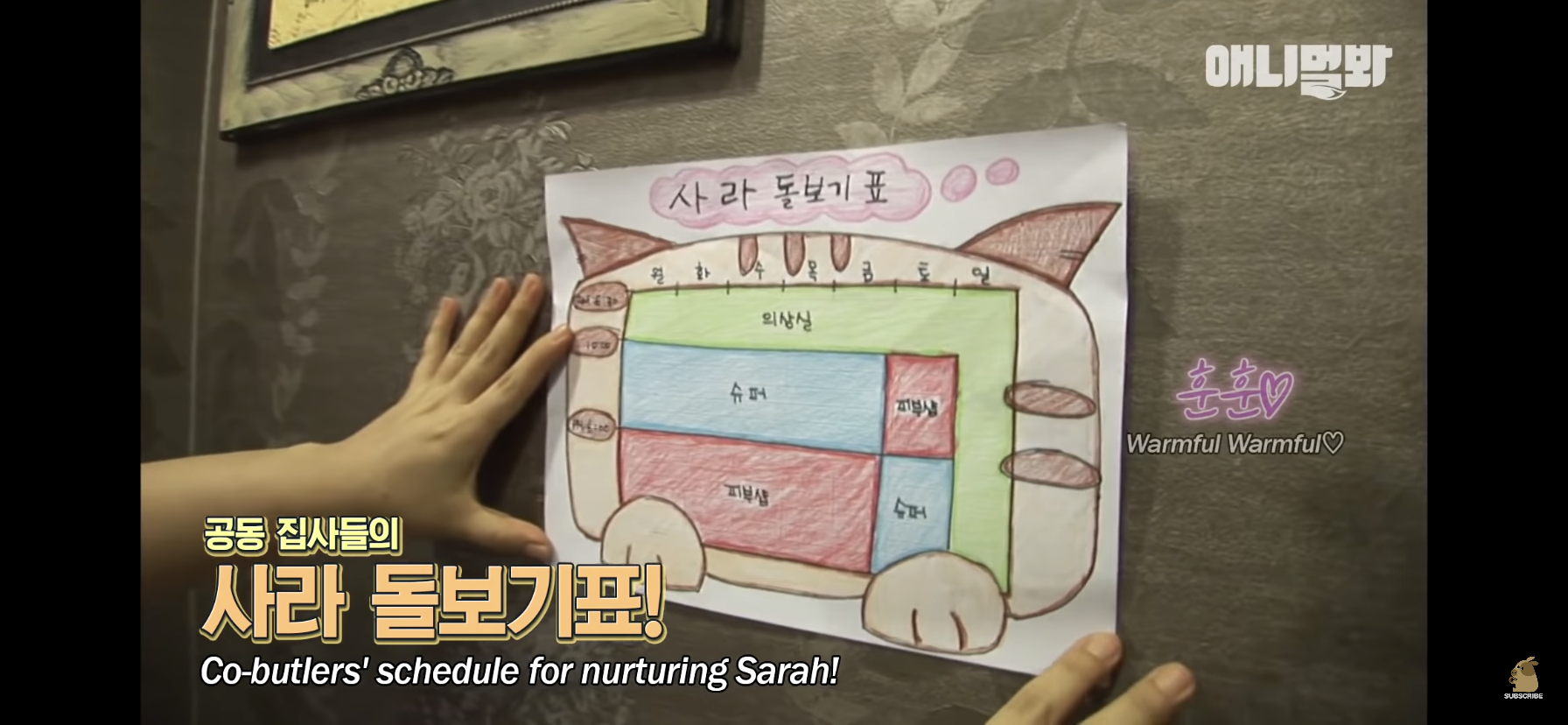 길고양이 목에 쪽지를 달자 생긴 영화같은 일 | 인스티즈