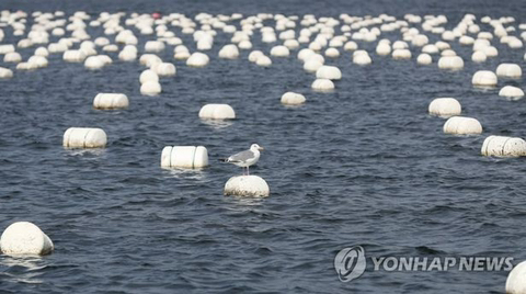 기후위기 극복을 위해 제일 시급하게 줄여야 하는 플라스틱 제품 중 하나 | 인스티즈