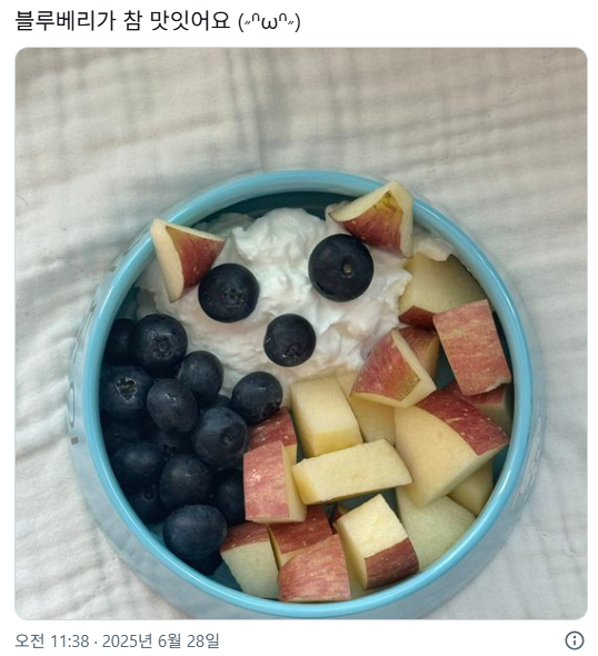 요새 트위터에서 화제 중인 식단 계정...... | 인스티즈