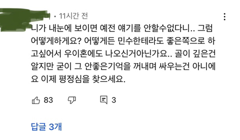 여자가 결혼하면 온 나라가 나서서 가스라이팅 하는 거 같은 달글 (우리 이혼했어요 일라이x지연수 유튜브 댓글) | 인스티즈