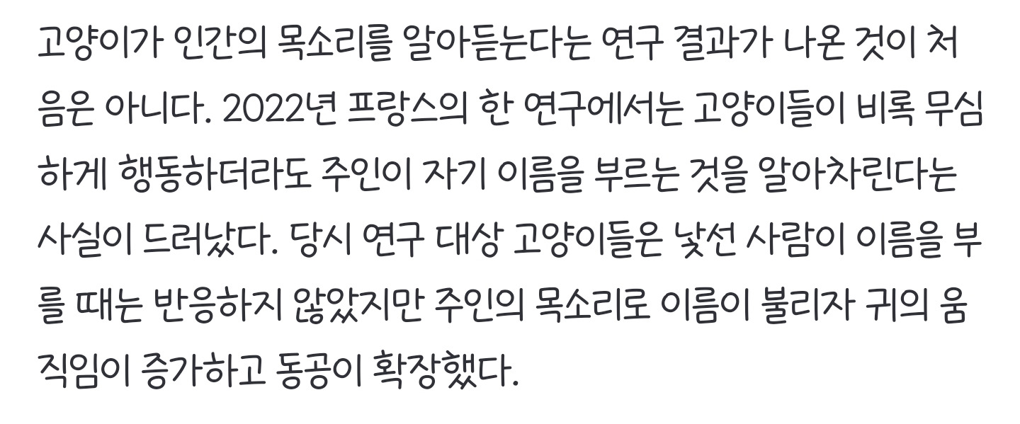 내 말 무시한 거였네… 고양이, 사람 단어 9초 만에 배워 | 인스티즈