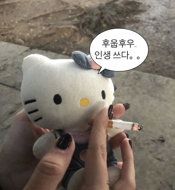 문장 뽑기: 인생에 힘이 되어주는 문장들이 들어있어요 | 인스티즈