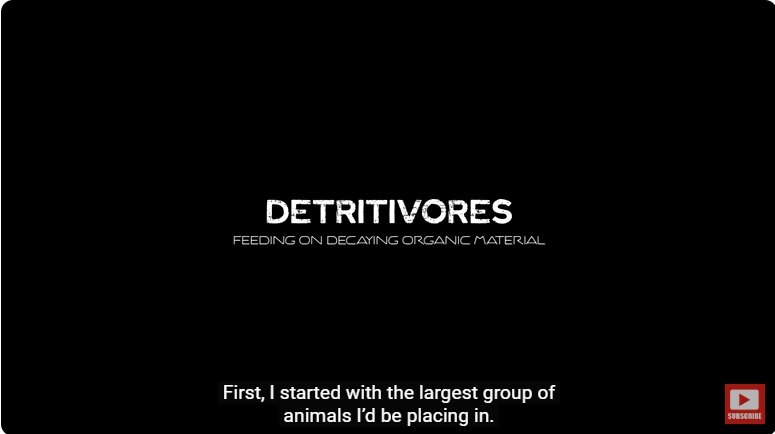 거대한 수조에 열대우림 환경을 조성해놓으면 생기는 일 - 2 | 인스티즈