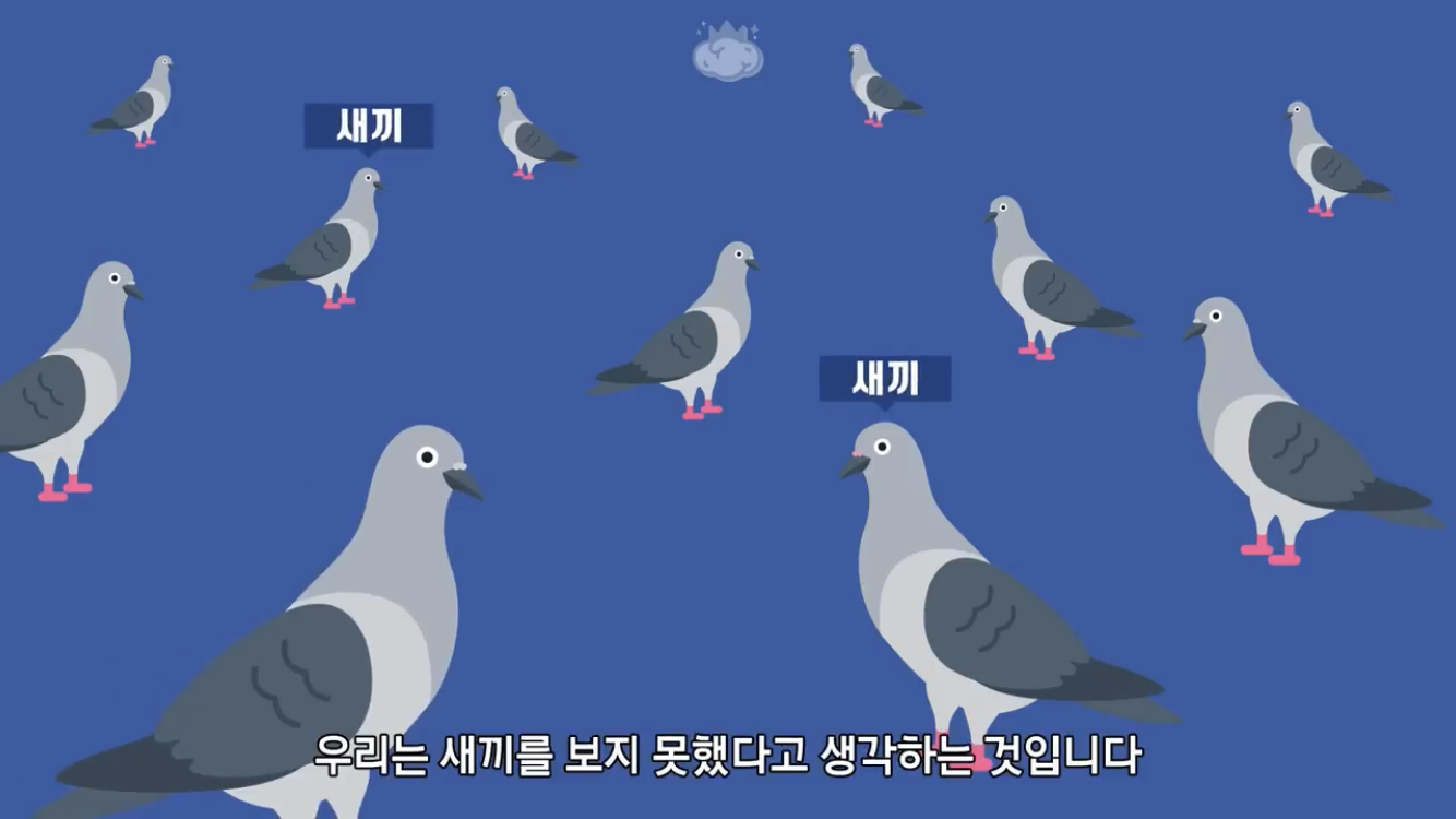 거리에 비둘기가 이렇게 많은데 왜 새끼 비둘기는 안 보일까? | 인스티즈