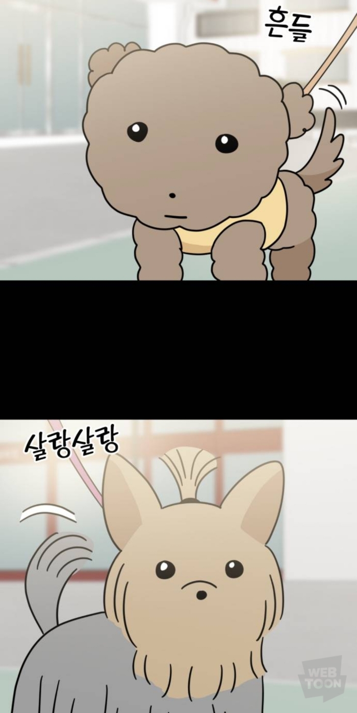 밖에서 보면 큰일난다고 난리난 웹툰 마루는 강쥐 오늘자 에피..jpg | 인스티즈