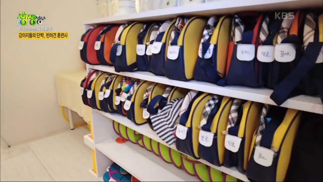 강아지 유치원.jpg | 인스티즈