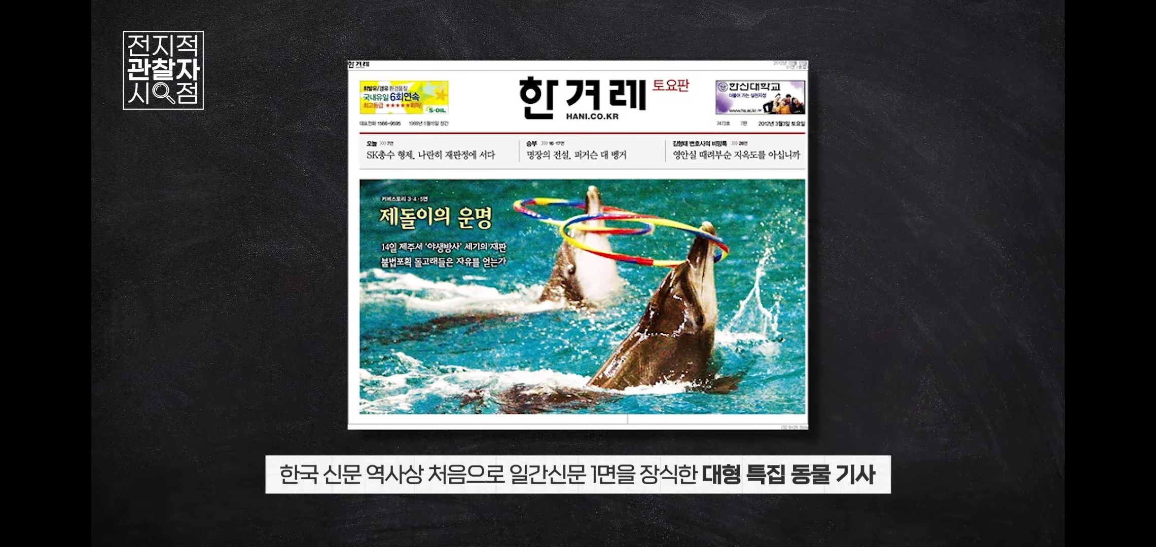 삼팔이 이미지