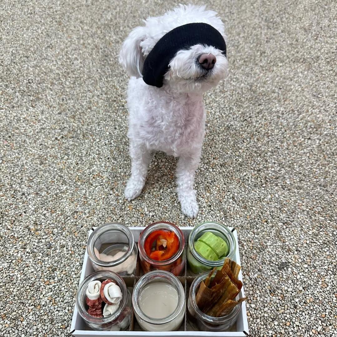 강아지유치원 흑백요리사 | 인스티즈