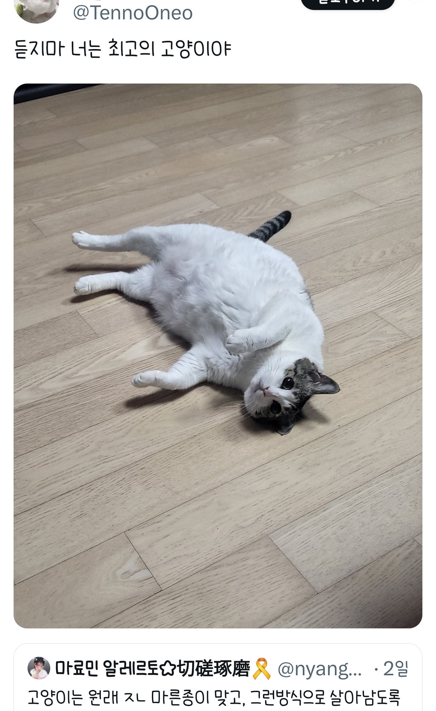 푸돼지 이미지