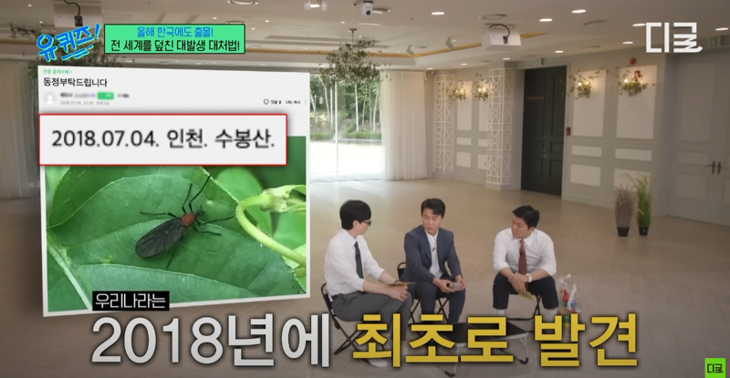 러브버그 원산지 | 인스티즈