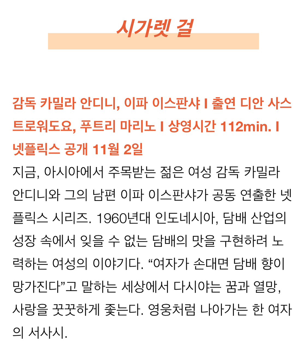 이건 봐야 해! 부국제 화제작 개봉 시기 총정리 | 인스티즈
