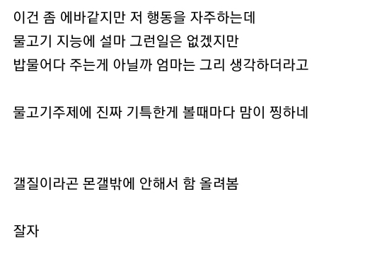 엄마집 금붕어들 보고가라 (이게 사랑이 아니면..) | 인스티즈