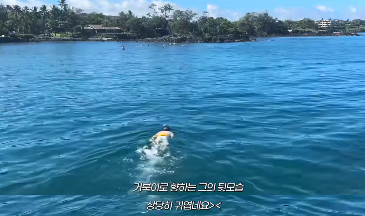 환승연애2 나오지 말았어야 했다고 얘기했었던 희두-나연 근황 | 인스티즈