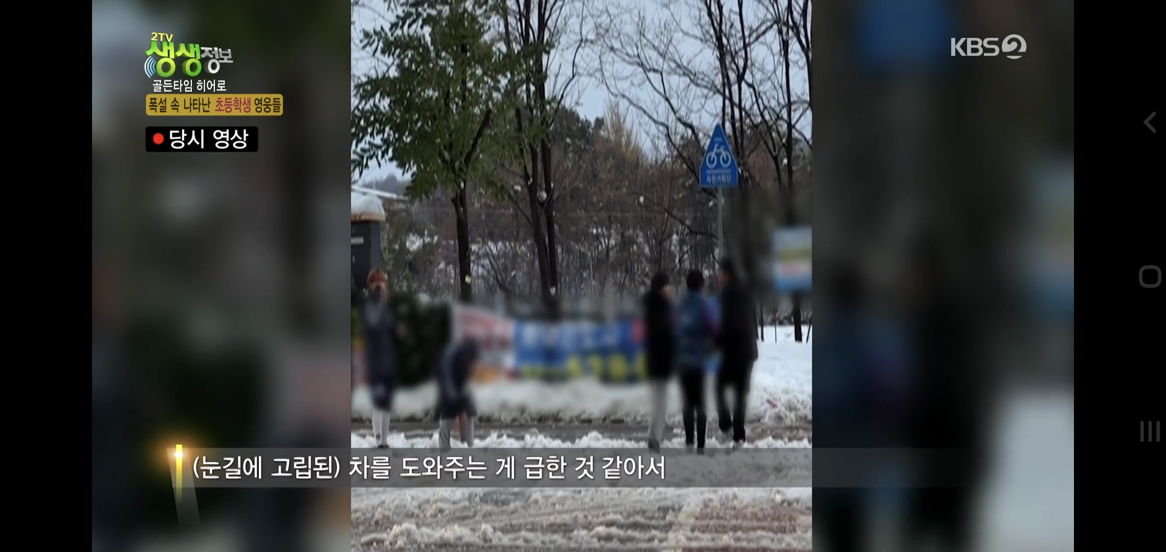 방금 생생정보통에 저번 폭설에 이슈였던 여시 나옴.jpg | 인스티즈