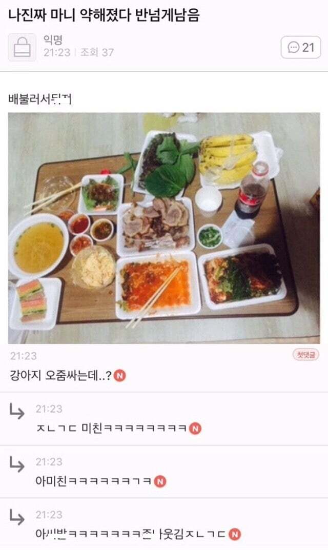 아빠가 개새랑 외출했다고 사진 보내줌 | 인스티즈