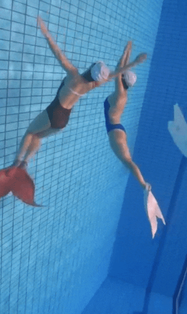 프리다이빙 배우고 넘어간다는 취미 머메이드 다이빙 | 인스티즈