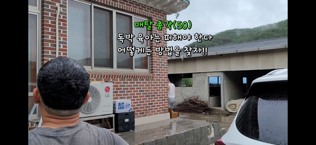 금은보화가 들어있는 박씨를 얼마나 받을지 궁금한 매탈남 | 인스티즈