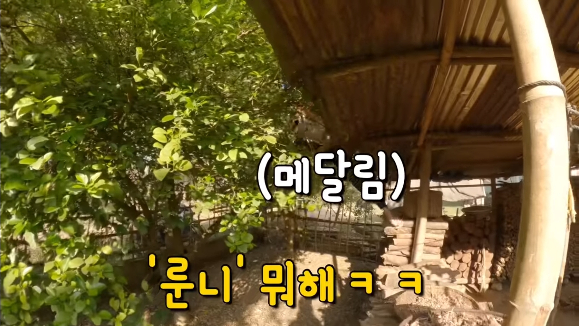 라오스 시골 고3 브이로그 | 인스티즈