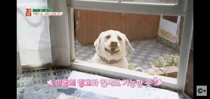 번아웃 후 해리포터 집을 지은 사랑스런 부부(무려 한국!!) | 인스티즈