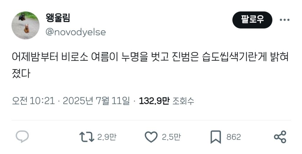 비로소 여름이 누명을 벗고, 진범은 습도라는게 밝혀졌다 | 인스티즈