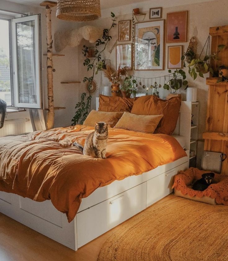 🧡 Orange Room 🧡 | 인스티즈