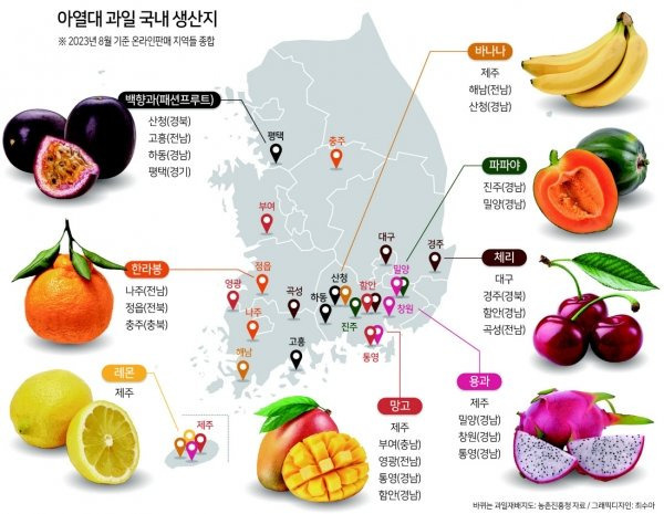 업데이트 된 한반도 과일지도.jpg | 인스티즈