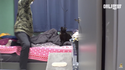 밤낮없이 집 도어락을 누르는 누군가때문에 고민인 부부 | 인스티즈