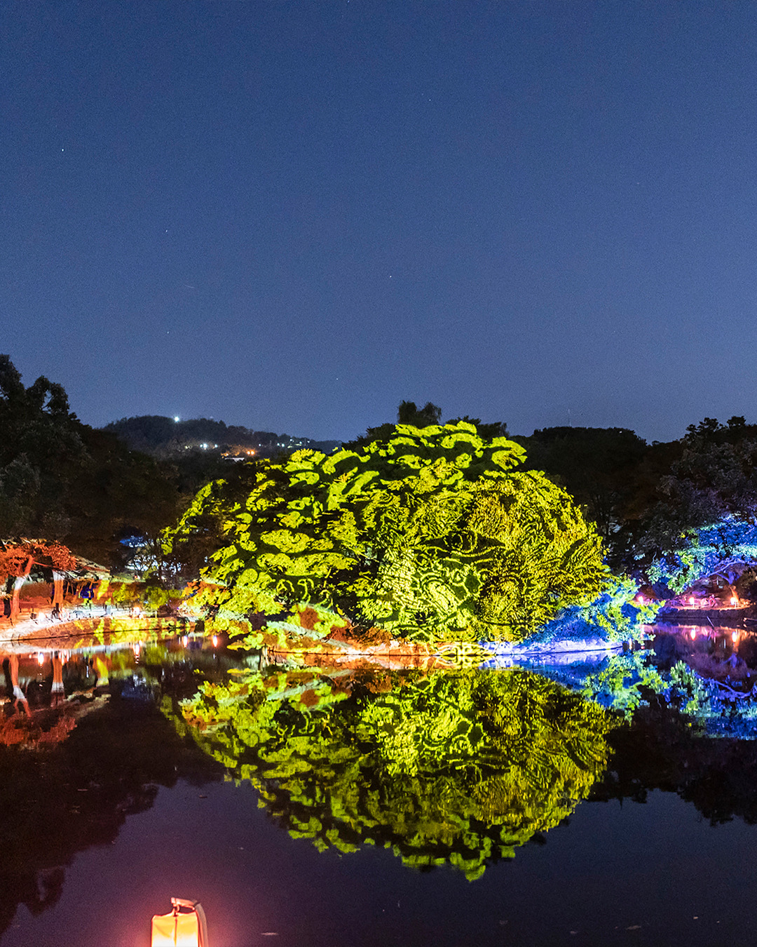 빛으로 물든 창경궁에서 밤 산책 | 인스티즈