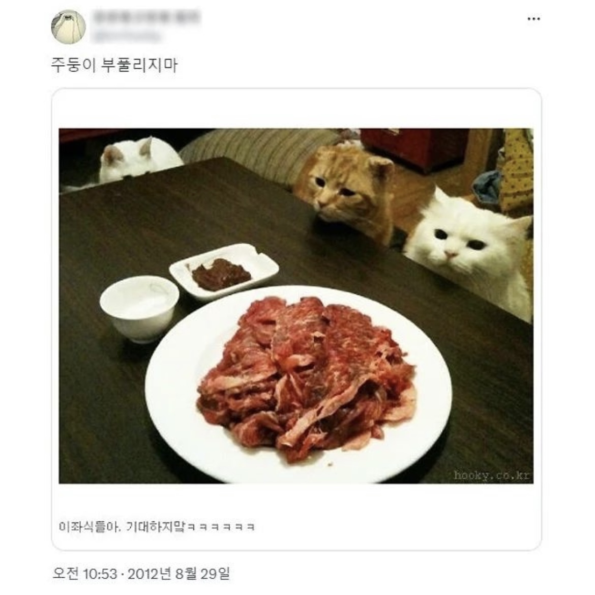 12년만에 생각이 바뀐 사람 | 인스티즈