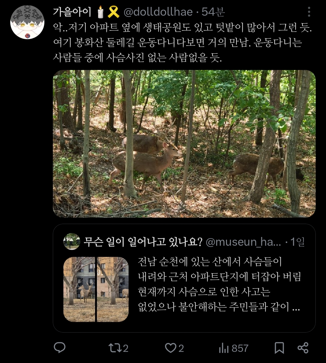 거의 사슴의 지상낙원 됐다는 전남 순천시.jpg | 인스티즈