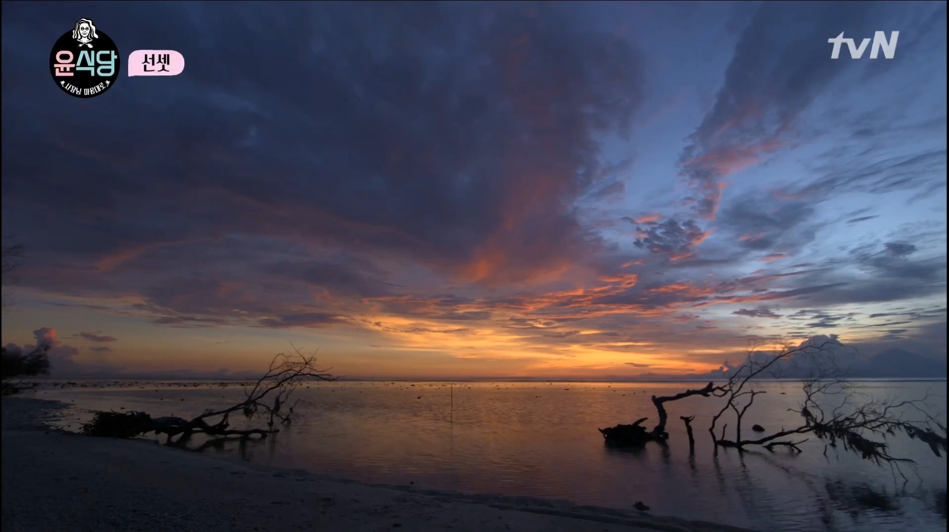 [윤식당] 난 노을 지는게 너무 싫은거 있지. 꼭 울어야 될 거 같아 | 인스티즈