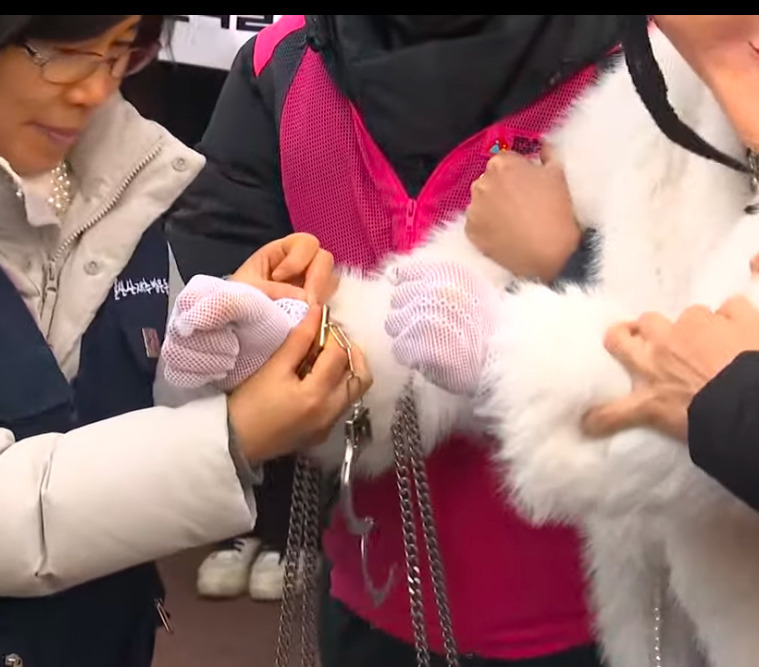 울산에서 이 체포 퍼포먼스중 | 인스티즈