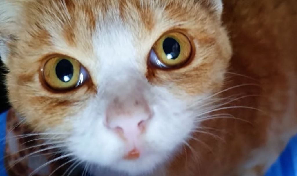 7529d8f38d9fb255b18b1667160c70164c8cc80c