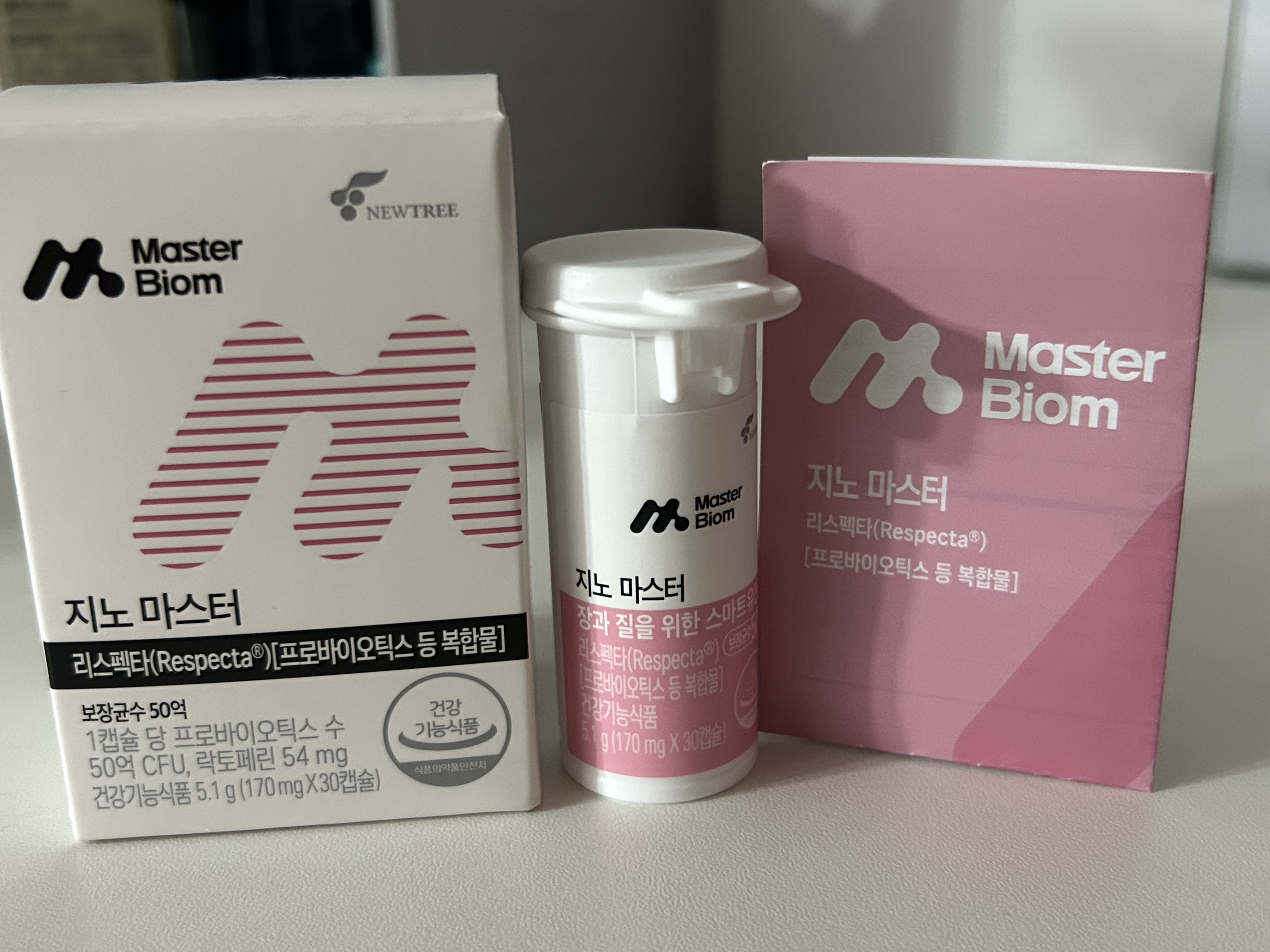 지노 이미지