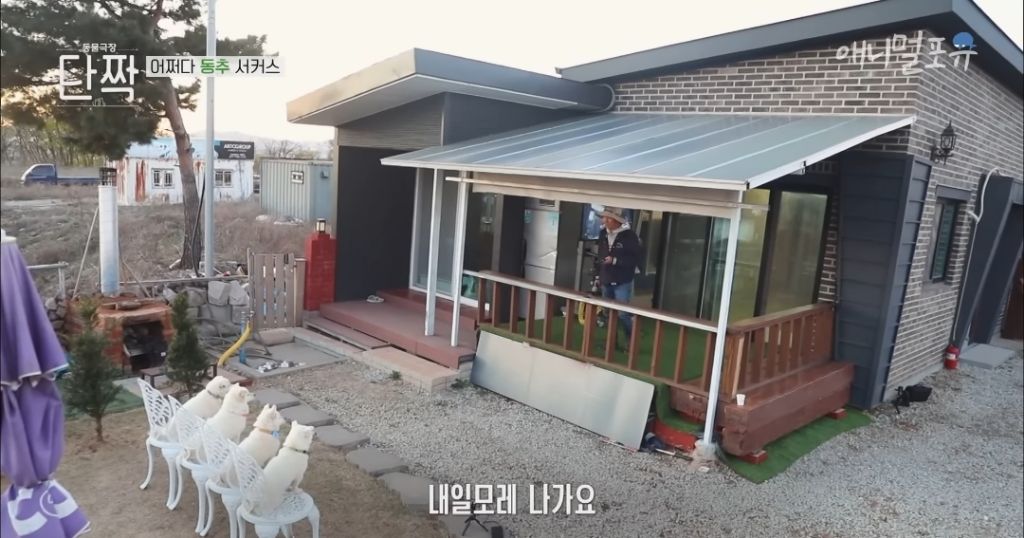 겁나 재밌게 사는 할아버지와 냥댕이들ㅋㅋㅋ.gif | 인스티즈