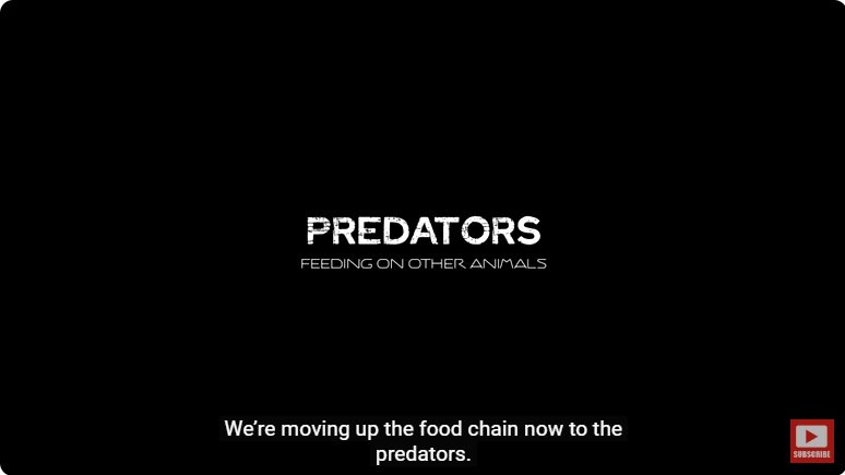 거대한 수조에 열대우림 환경을 조성해놓으면 생기는 일 - 2 | 인스티즈