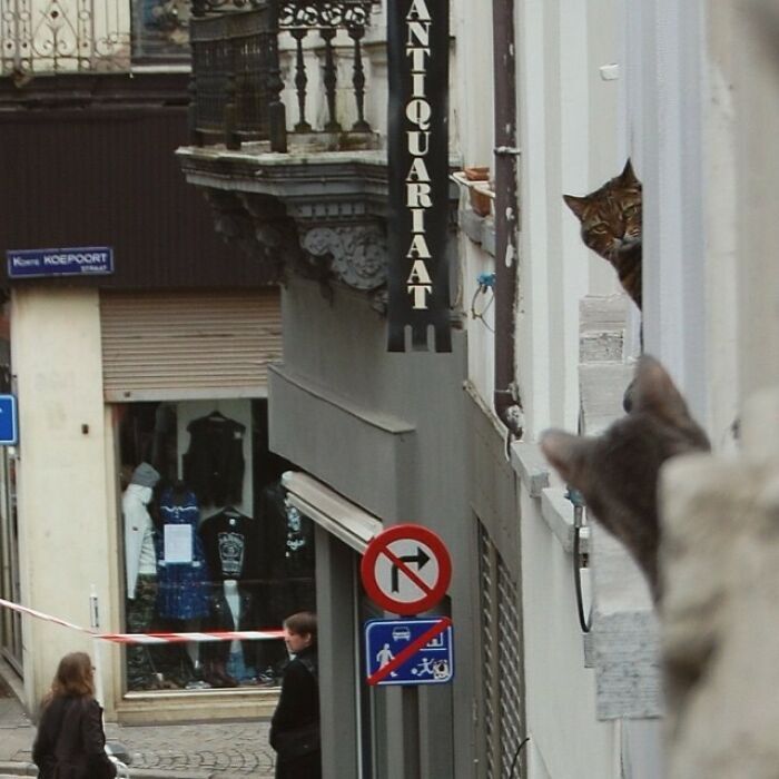 천 마디 말보다 가치 있는 사진들 모음 | 인스티즈