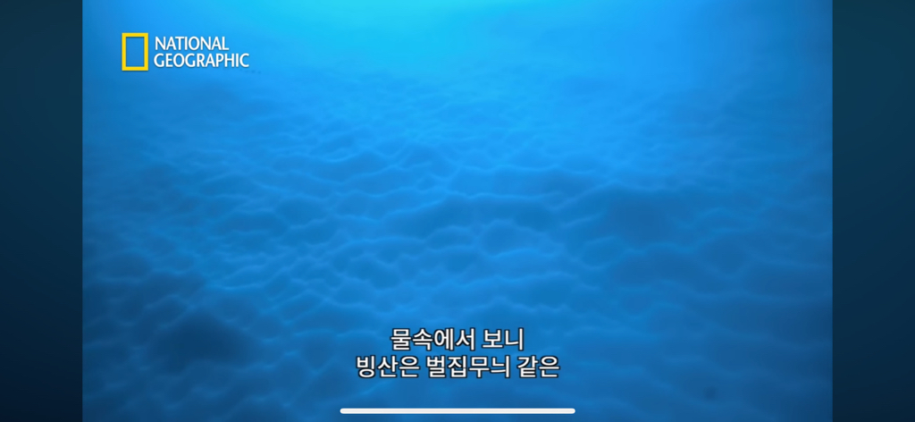 대왕오징어를 찾아라-남극해의 빙산 아래 신비로운 심해 생명체들(심해주의 해산물주의) | 인스티즈