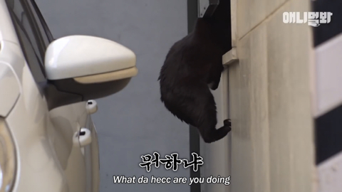 밤낮없이 집 도어락을 누르는 누군가때문에 고민인 부부 | 인스티즈