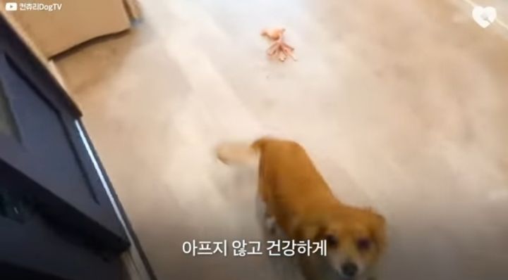 운전하다 댕줍하신 어느 운전자분 사연...ㅠㅠ | 인스티즈