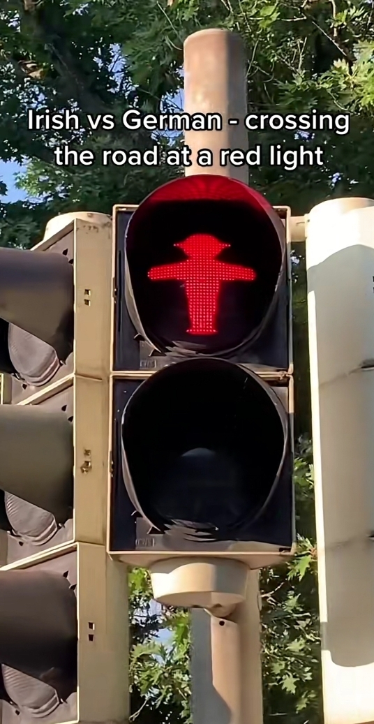 횡단보도에서 차도 없는데 초록불로 바뀔 때까지 기다린다고...??? | 인스티즈