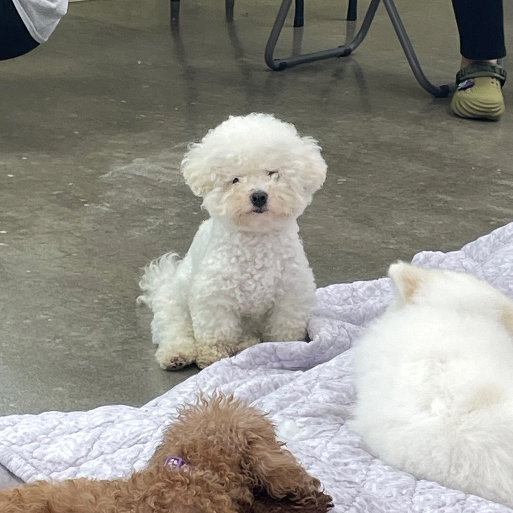봉사 갈수록 애기들 아는척 하는 거 너무 귀여워.. | 인스티즈