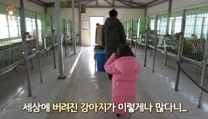 7살 아이 눈에 비친 유기견 보호소는? | 인스티즈