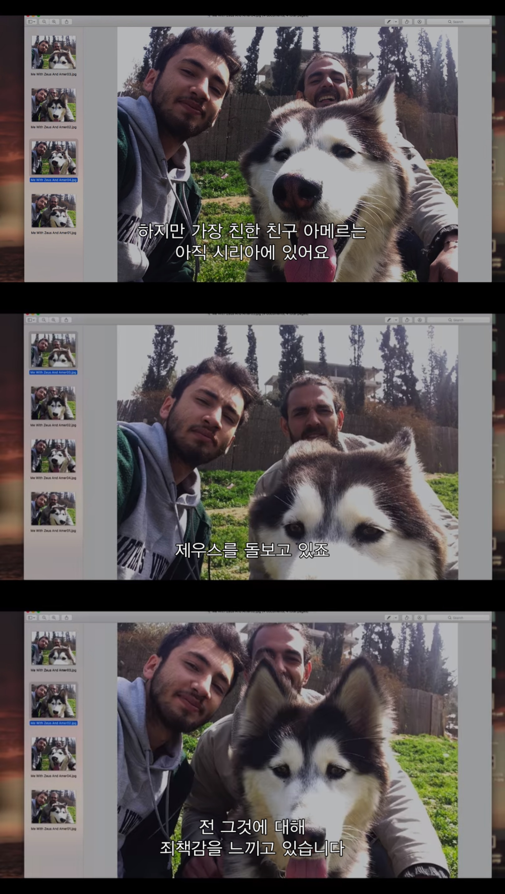 전쟁때문에 독일로 온 난민이라 시리아에 두고 온 내 강아지를 구조하려는데 갑자기 연락이 안된다 | 인스티즈