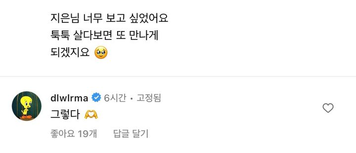 아이유가 인스타에 달고 있는 댓글 | 인스티즈