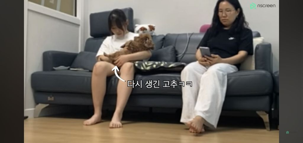 우리집 강아지가 바뀐다면 알아볼까? | 인스티즈