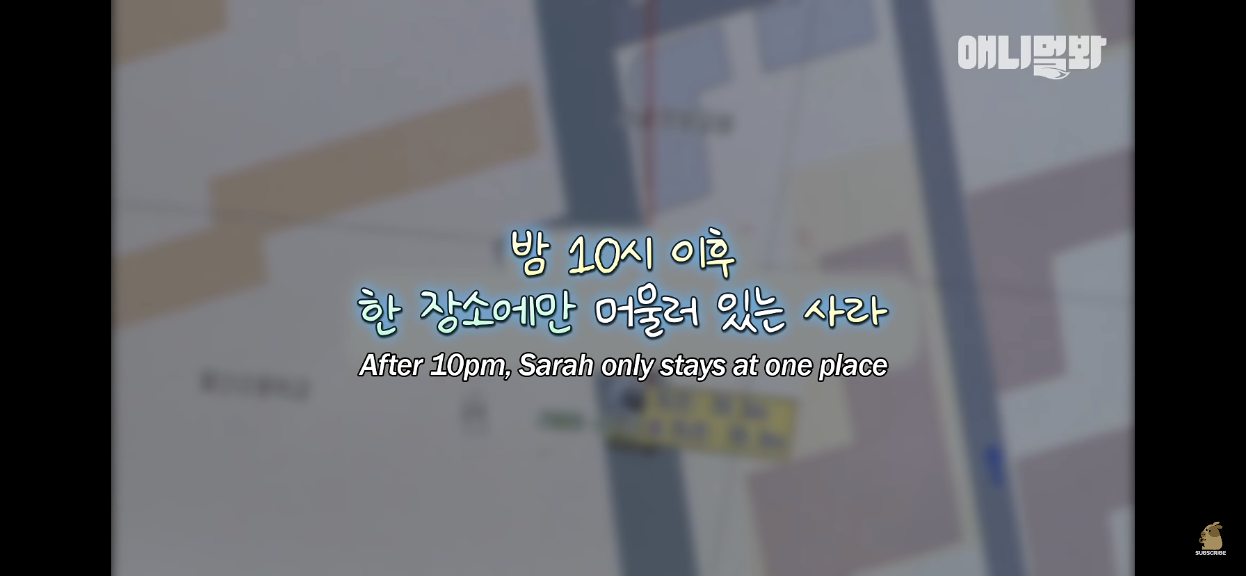 길고양이 목에 쪽지를 달자 생긴 영화같은 일 | 인스티즈