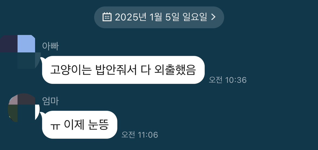 길고양이 극혐하던 아빠 근황 | 인스티즈